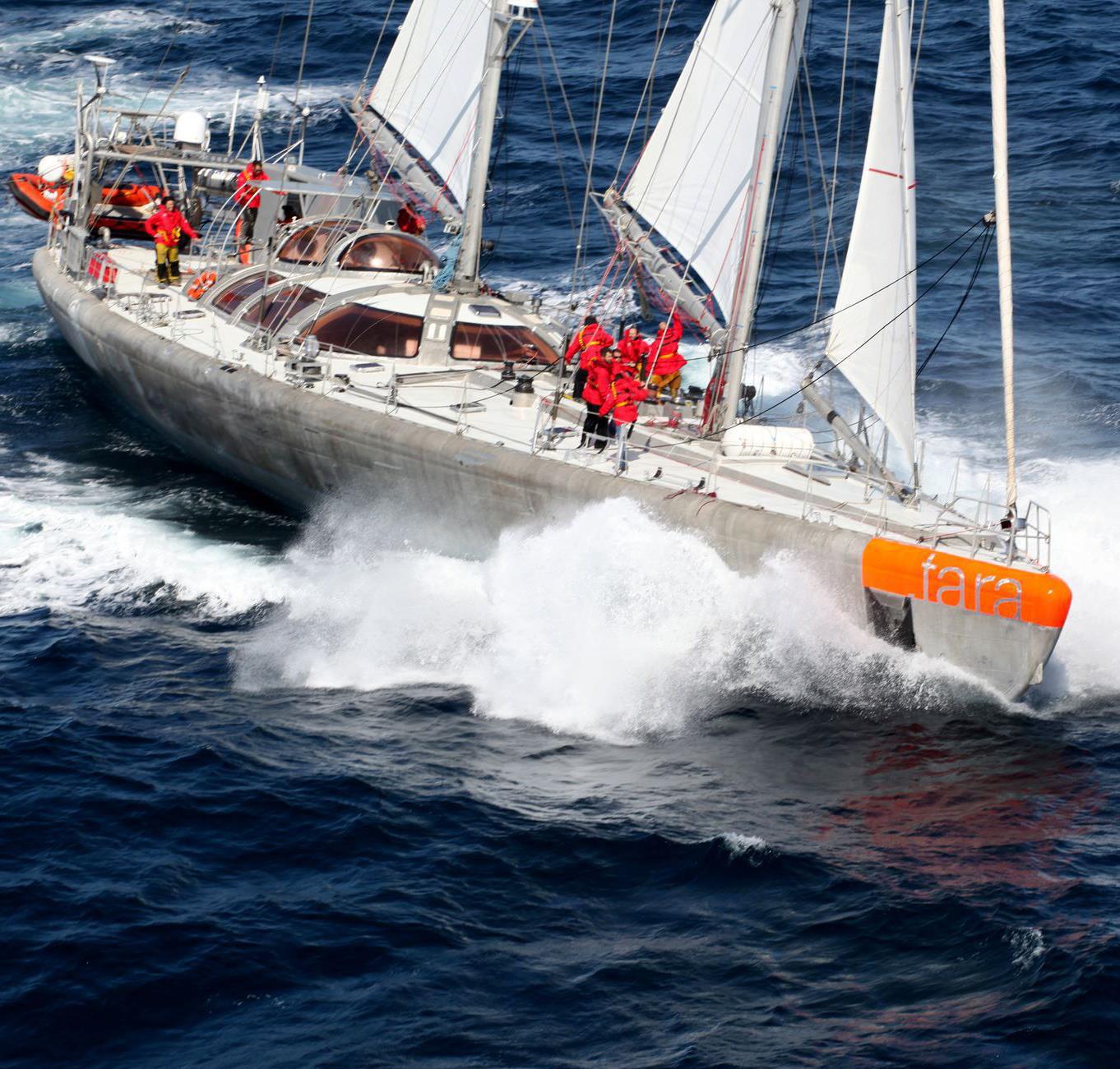 555772229_10163403999239153_3716053099166234053_n