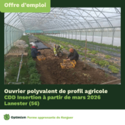 Offres d’emploi Instagram FAK4