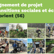 Offre stage Transitions recadrée