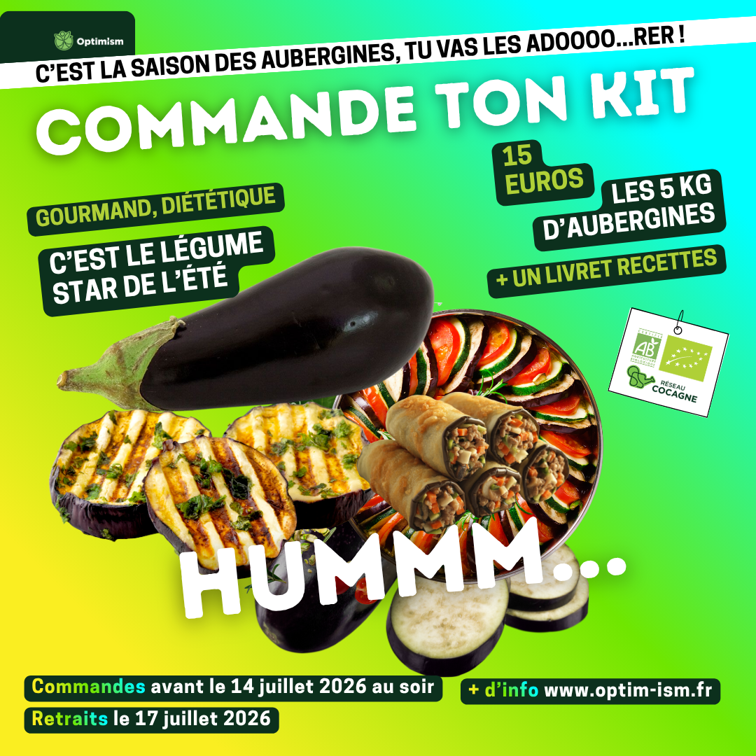 Visuel campagne aubergines 2 (2)