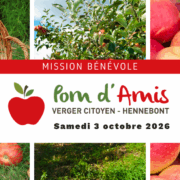 Copie de Mission bénévole (1)