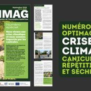 Optimag canicule