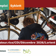Offre d’emploi Insta Syklett (Bannière moyenne (US) (Paysage))